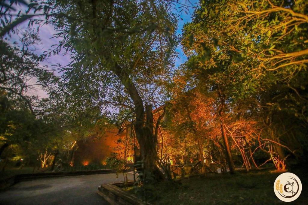 Aswadduma Hotel Dambulla Exteriör bild