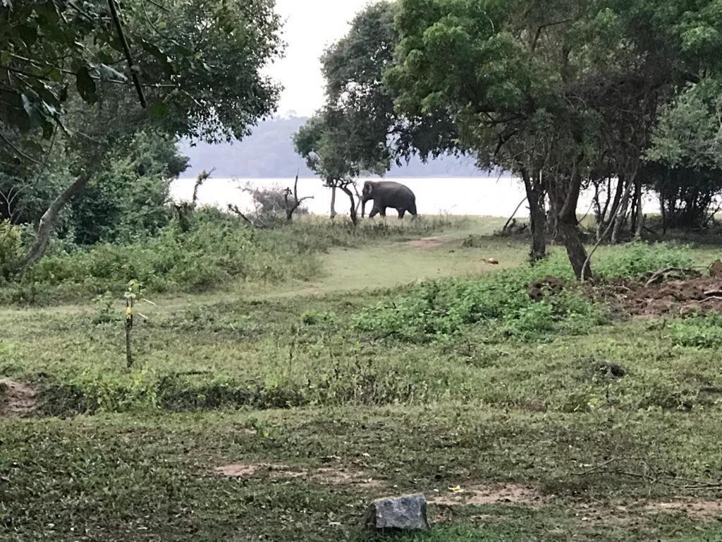 Aswadduma Hotel Dambulla Exteriör bild