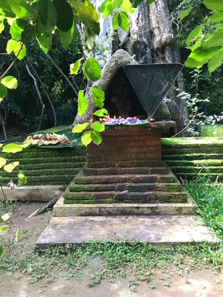 Aswadduma Hotel Dambulla Exteriör bild